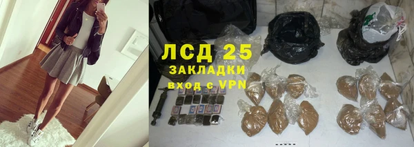 трава Аркадак