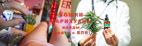 PSILOCYBIN Балабаново