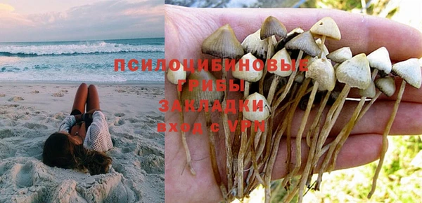мескалин Баксан